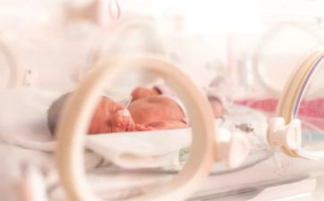 宝宝和幼儿园教案6篇