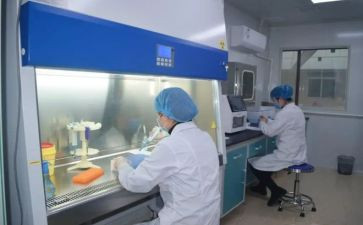 试用期化验员工作总结8篇