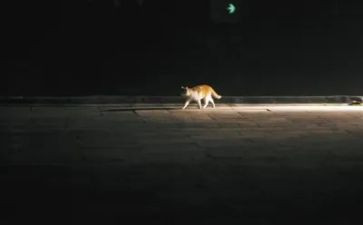 夜行军心得体会7篇