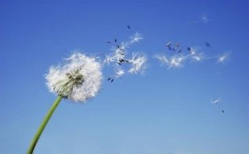 爱国主义教育月活动总结通用7篇