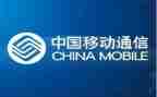 移动的工作总结5篇