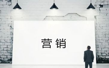 微营销工作总结优秀7篇