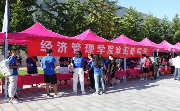 公司迎新春活动方案5篇