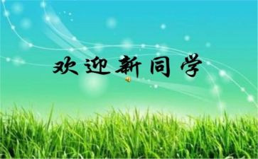 幼儿园迎新活动方案7篇