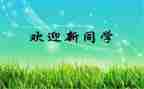 幼儿园迎新活动方案7篇