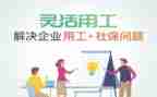机关试用工作总结7篇