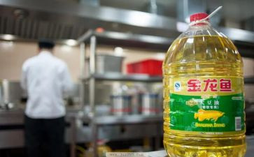 省油心得体会500字优质7篇