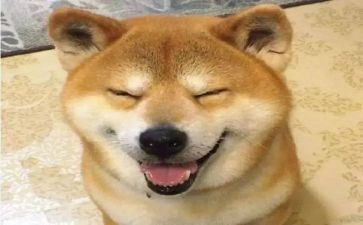 课堂中有趣的事作文推荐5篇