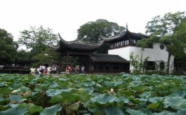 游园活动总结7篇
