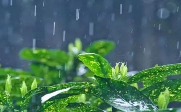 观小英雄雨来心得体会优质8篇