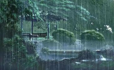我发现了雨的秘密作文最新8篇