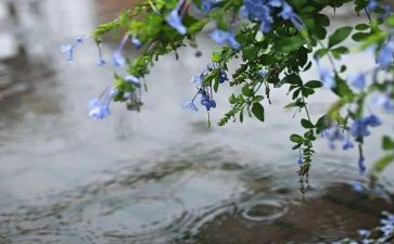 语言关于雨的教案推荐7篇