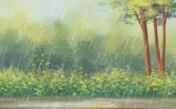 雨的读后感300字通用8篇
