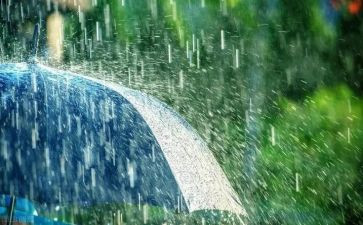幼儿园语言要下雨了教案5篇