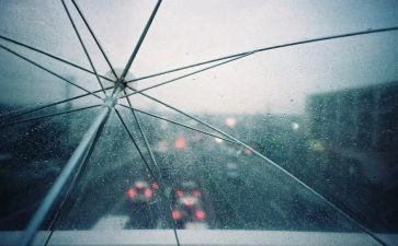 余秋雨读后感8篇