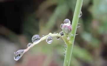 雨的读后感300字模板7篇