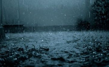 关于雨的读后感的作文600字8篇