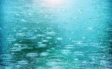 《小英雄雨来》心得6篇