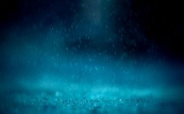 我心目中的雨作文通用7篇