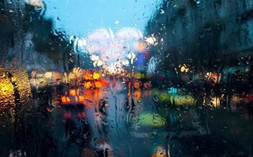 关于雨的读后感的作文500字7篇