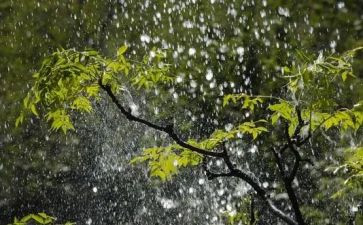 诗歌春天的雨教案7篇