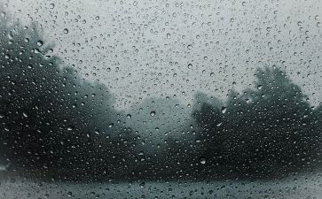 《雷雨》心得体会6篇