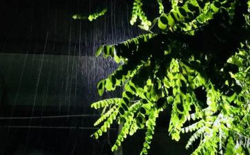 雨中600字作文参考7篇