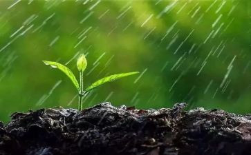 英雄雨来读后感500字7篇