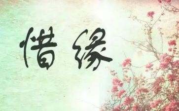 关于缘的作文精选8篇