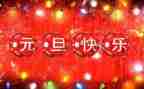 元旦小学生活动总结5篇