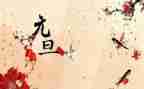 小学生过元旦演讲稿精选7篇