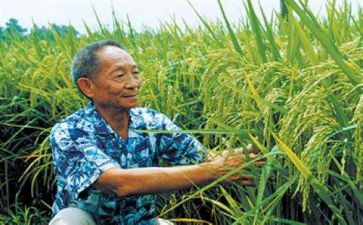 袁隆平上作文通用7篇