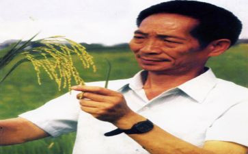 作文袁隆平事迹7篇