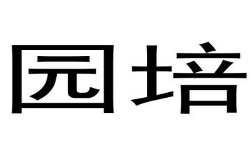幼儿园培训表心得体会模板8篇