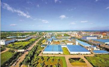 幼儿园区域教研活动方案7篇