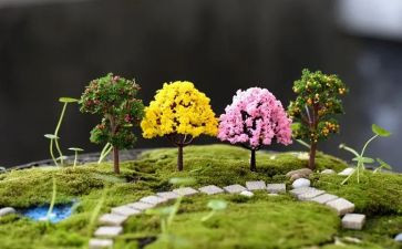 校园艺术节活动方案优秀8篇