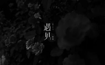 遇见他作文800字6篇