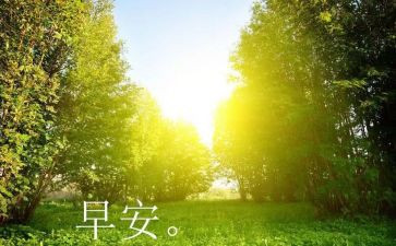 早产儿日活动总结6篇