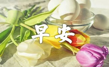 早教师工作心得体会优秀8篇