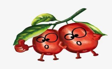 红枣的读后感7篇