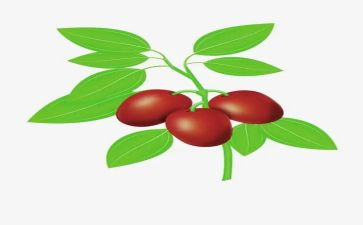 枣乡情作文推荐8篇