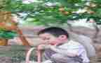 幼儿园小班摘果子教案6篇