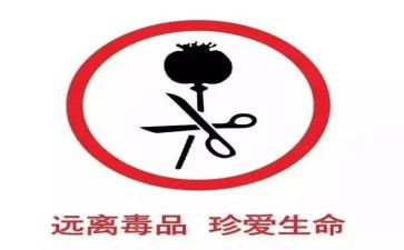 张子权事迹的心得体会通用6篇