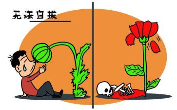 张子权事迹的心得体会模板6篇