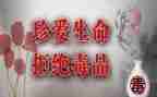 学习英模张子权心得体会8篇