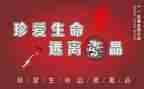张子权事迹的心得体会6篇