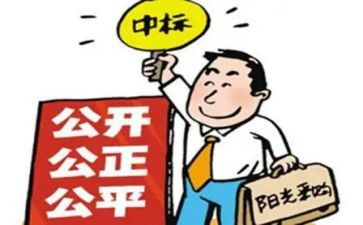 招标工作工作总结5篇