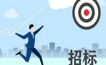 年度招标工作总结6篇