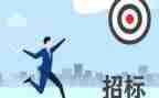 年度招标工作总结6篇