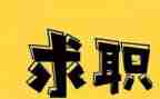 大学生是找工作总结参考5篇